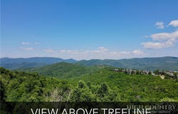 Grandfather Watch Lane, Banner Elk, NC 28604
