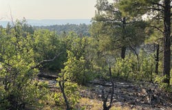 Tract D-4b-1 TBD, Tierra Amarilla, NM 87575