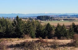 3340 SW Redmond Hill RD, McMinnville, OR 97128