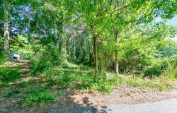 First Street, Statham, GA 30666