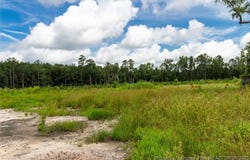 Meadow Road, Lumberton, NC 28358