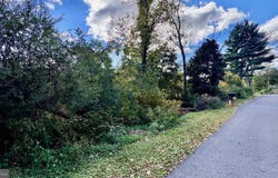 WHITE OAK DR E, RAWLINGS, MD 21557