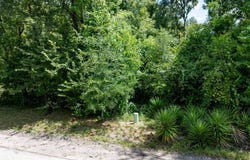 TBD SW NEBRASKA TERRACE, Fort White, FL 32038