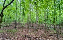 CR 265, BRUCE, MS 38915