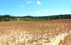 210 Hugh White State Park Road, Grenada, MS 38901