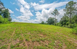 2685 Presott Road, Florala, AL 36442