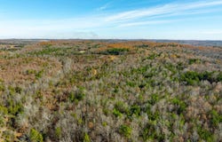 Peter Martin Hill Rd, Cave City, AR 72521