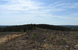 0 Griffin, Cartersville, GA 30120