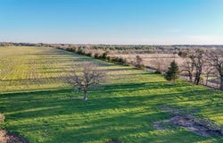 0 CR 2245, Ivanhoe, TX 75447