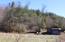 Land On Carter Cove Road S, Hayesville, NC 28904