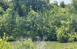 Sandpiper Drive lot: 204A, Hertford, NC 27944