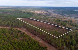 0 Poinsettia Road, Wagener, SC 29164