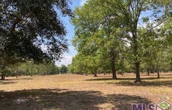 14169 A Poirrier Rd, Gonzales, LA 70737