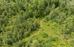 S Thompsonville Highway, Thompsonville, MI 49683