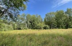 1217 E Beyer Road, Free Soil, MI 49411