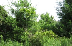 1 Acre Woodridge Drive, Elkhorn, WI 53121-0000
