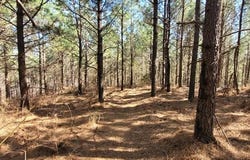 0 Lot 47 Saddleback Dr, DOVER, TN 37058
