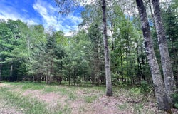WHITE PINE DR lot: 38, Eagle River, WI 54521