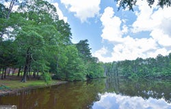 2654 New Hope, Zebulon, GA 30295