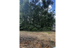 SANDY DRIVE, MCCALLA, AL 35111
