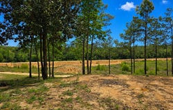 242 County Road 240, Jasper, TX 75951