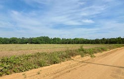 0 H Merritt Road - Parcel D, Slocomb, AL 36375