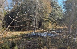 0 Beverly Road, Irvington, AL 36544