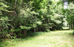 Kitfield Road, Moncks Corner, SC 29461