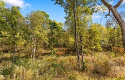 Lot 9 Peaceful  PL, Harrison, AR 72601