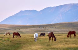 Sheep Mountain Road, Centennial, WY 82055