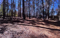 Osprey Lane, Martinez, GA 30907