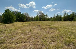 0 Ford Road, Many, LA 71449