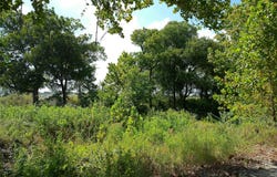 Serenity Dr lot: 29, Bertram, TX 78605