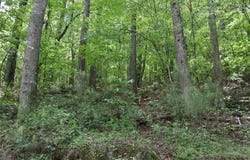 0 Parksbrook Road A, Ellijay, GA 30540