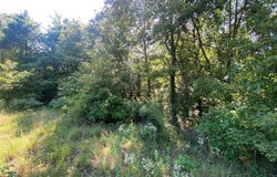 1482 N 4210 Road, Hugo, OK 74738