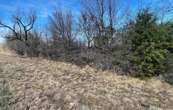 507 Garrett Morris Parkway, Mineral Wells, TX 76067
