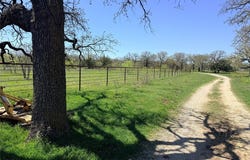 421 Erwin, Jacksboro, TX 76458