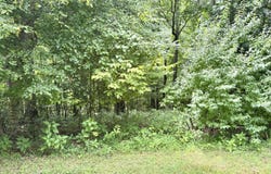 Lot 30 Rock Island, Butler, TN 37640