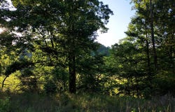 Tbd MAIN ST Lot 6, Sneedville, TN 37869