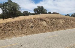 0 Corner Mustang & Buckskin, Tehachapi, CA 93561