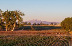 7824 E County Road 16, Johnstown, CO 80534
