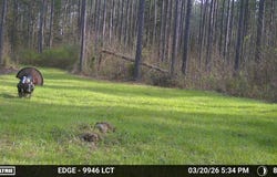 Highway 28, Abbeville, SC 29620