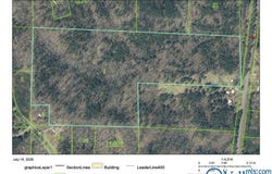 56 Acres Highway 13, Lynn, AL 35575