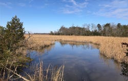 14 GOOSE Creek Drive, Shacklefords, VA 23156