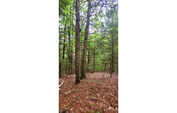 L14-001 Hummingbird Hill Road, Greene, ME 04236