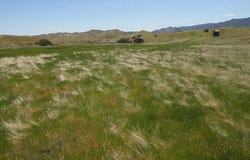 Hwy 198, Coalinga, CA 93210