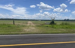 4848 Holmesville, Jesup, GA 31545