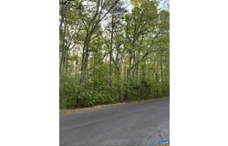 BLACK WALNUT RUN RD, RHOADESVILLE, VA 22542