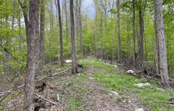 Rt 41 Mill St., Mill Creek, WV 26280