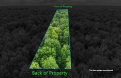 3162 S Alamando Road, St. Louis, MI 48880